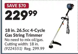 Princess Auto 18 in. 26.5cc 4-Cycle Gas String Trimmer offer