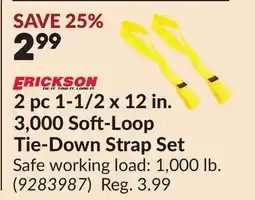 Princess Auto 2 pc 1-1/2 x 12 in. 3,000 Soft-Loop Tie-Down Strap Set offer