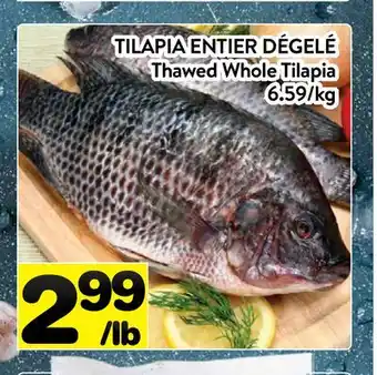 Supermarché PA TILAPIA ENTIER DÉGELÉ | Thawed Whole Tilapia offer