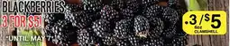 Lococo's Blackberries 3 for $5! offer