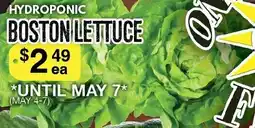 Lococo's Boston lettuce offer