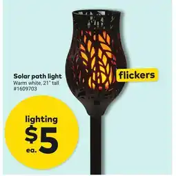 Giant Tiger Solar path light offer