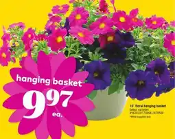 Giant Tiger 10 floral hanging basket offer