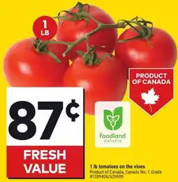 Giant Tiger 1 lb tomatoes on the vines offer
