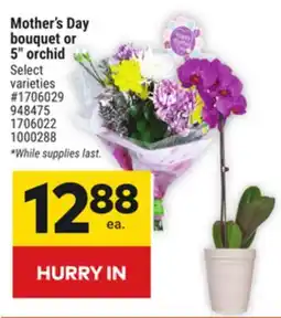 Giant Tiger Mother's Day bouquet or 5 orchid offer