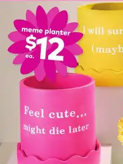 Giant Tiger Meme planter offer