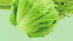 Giant Tiger Iceberg lettuce offer