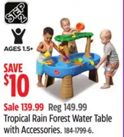 Canadian Tire Step 2 Tropical Rain Forest Water Table with Accessories offer