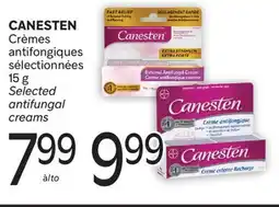 Brunet CANESTEN Crèmes antifongiques sélectionnées offer