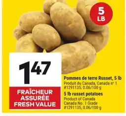 Giant Tiger Russet potatoes offer