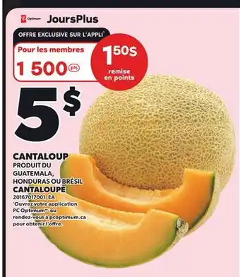 Provigo CANTALOUP | CANTALOUPE offer
