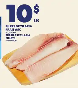 Provigo FILETS DE TILAPIA FRAIS ASC | FRESH ASC TILAPIA FILLETS offer