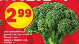 Maxi COURONNES DE BROCOLI | broccoli crowns offer