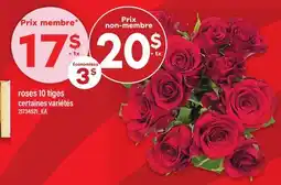 Maxi ROSES, 10 TIGES offer
