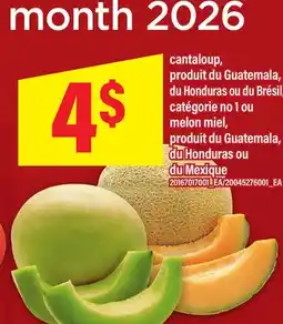 Maxi CANTALOUP OU MELON MIEL offer