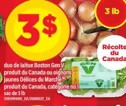 Maxi DUO DE LAITUE BOSTON GEN V OU OIGNONS, SAC DE 3 LB offer