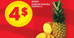 Maxi ANANAS offer