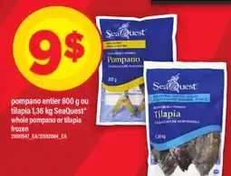 Maxi POMPANO ENTIER 800 G OU TILAPIA 1,36 KG SEAQUEST | whole pompano or tilapia offer