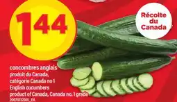Maxi CONCOMBRES ANGLAIS | ENGLISH CUCUMBERS offer