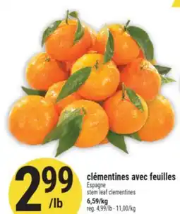 Marché Adonis CLÉMENTINES AVEC FEUILLES | STEM LEAF CLEMENTINES offer