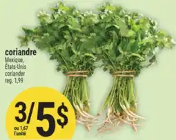 Marché Adonis Coriandre | Coriander offer