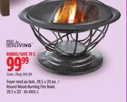 Canadian Tire For Living Round Wood-Burning Fire Bowl offer