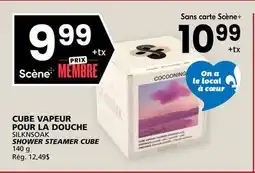 Rachelle-Bery Grocery SILKNSOAK SHOWER STEAMER CUBE offer