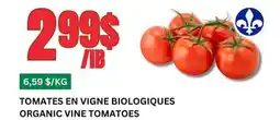 Marches Tau TOMATES EN VIGNE BIOLOGIQUES offer