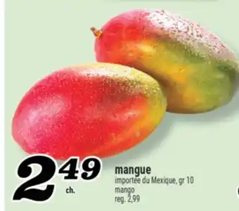 Marché Richelieu MANGUE | MANGO offer