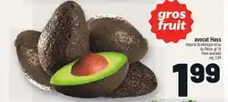Metro AVOCAT HASS | HASS AVOCADO offer