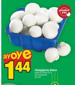 Super C champignons blancs | white mushrooms offer