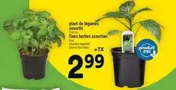 Super C plant de légumes assortis | assorted vegetable offer