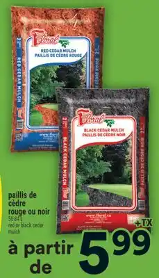 Super C paillis de cèdre rouge ou noir | red or black cedar offer