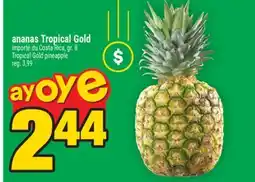 Super C ananas Tropical Gold | Tropical Gold pineapple offer