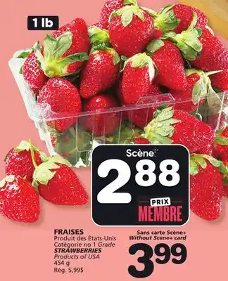 Marches Tradition STRAWBERRIES offer