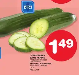 Marches Tradition SEEDLESS CUCUMBER offer