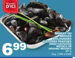 Marches Tradition FRESH CULTIVATED MUSSELS OR ORGANIC MUSSELS offer