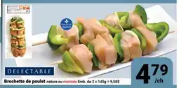 Pasquier Brochette de poulet DELECTABLE offer