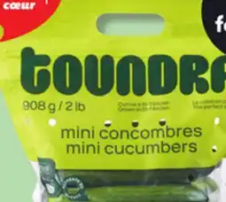 IGA SEEDLESS MINI CUCUMBERS offer