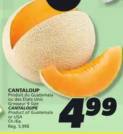 IGA CANTALOUPE offer