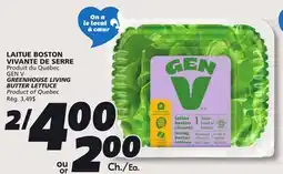 IGA GREENHOUSE LIVING BUTTER LETTUCE offer