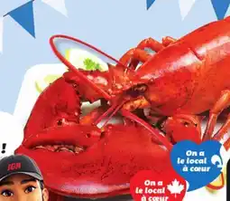 IGA COOKED FRESH OR LIVE LOBSTER offer