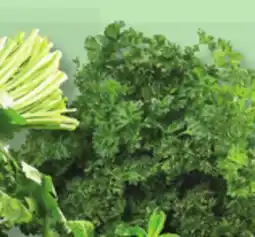 IGA CURLY OR ITALIAN PARSLEY offer