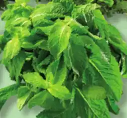 IGA FRESH CORIANDER, MINT, DILL, CURLY OR ITALIAN PARSLEY offer