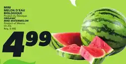 IGA ORGANIC MINI WATERMELON offer