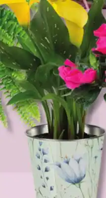 IGA CALLA LILY offer