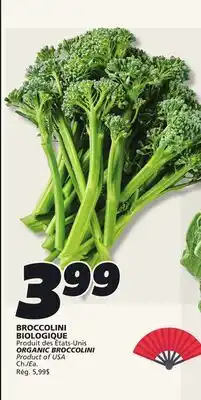 IGA ORGANIC BROCCOLINI offer