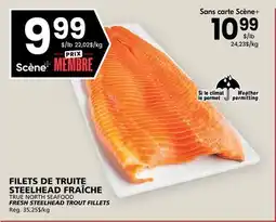 Rachelle-Bery Grocery TRUE NORTH SEAFOOD FRESH STEELHEAD TROUT FILLETS offer