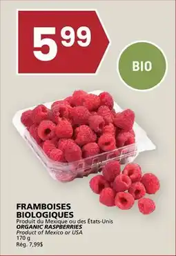 Rachelle-Bery Grocery ORGANIC RASPBERRIES offer