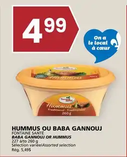 Rachelle-Bery Grocery FONTAINE SANTÉ BABA GANNOUJ OR HUMMUS offer